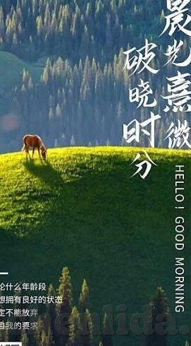 麻豆果冻传媒精品一区-麻豆果冻传媒精品一区的行业魅力与艺术呈现